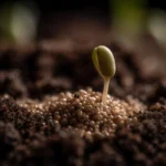 How I started with meditation