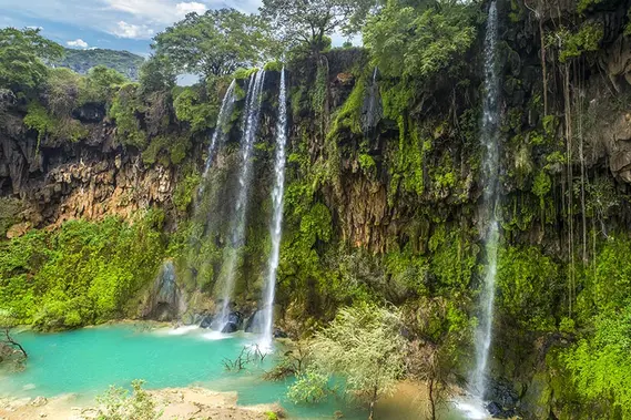 Can You Believe This Green Oasis Exists in the Middle of the Desert?